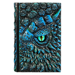 Dragon's Eye Journal